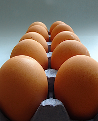 dozen_eggs
