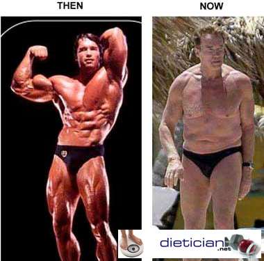 fat-arnold-schwarzenegger